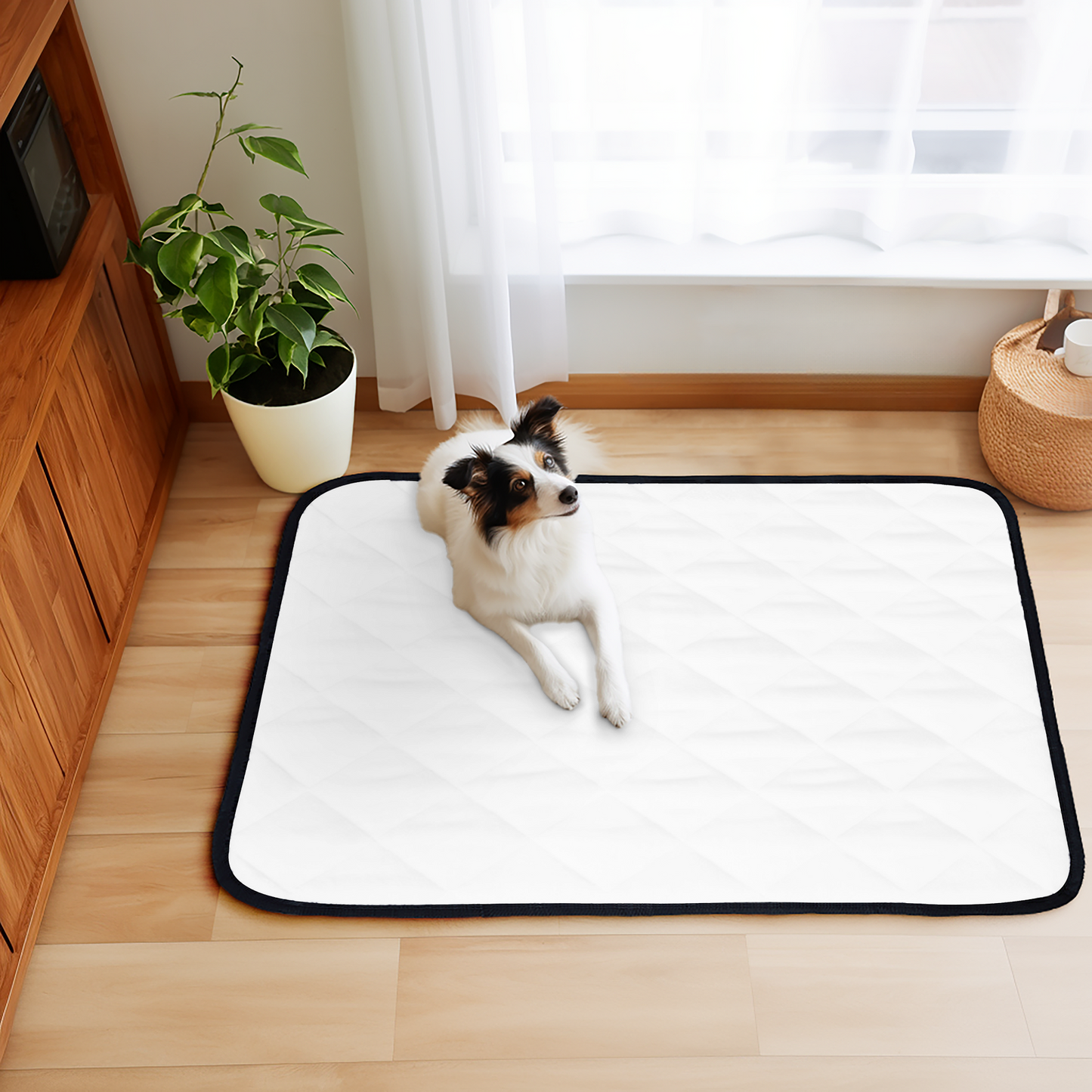Flannel Pet Mat（47X35in）