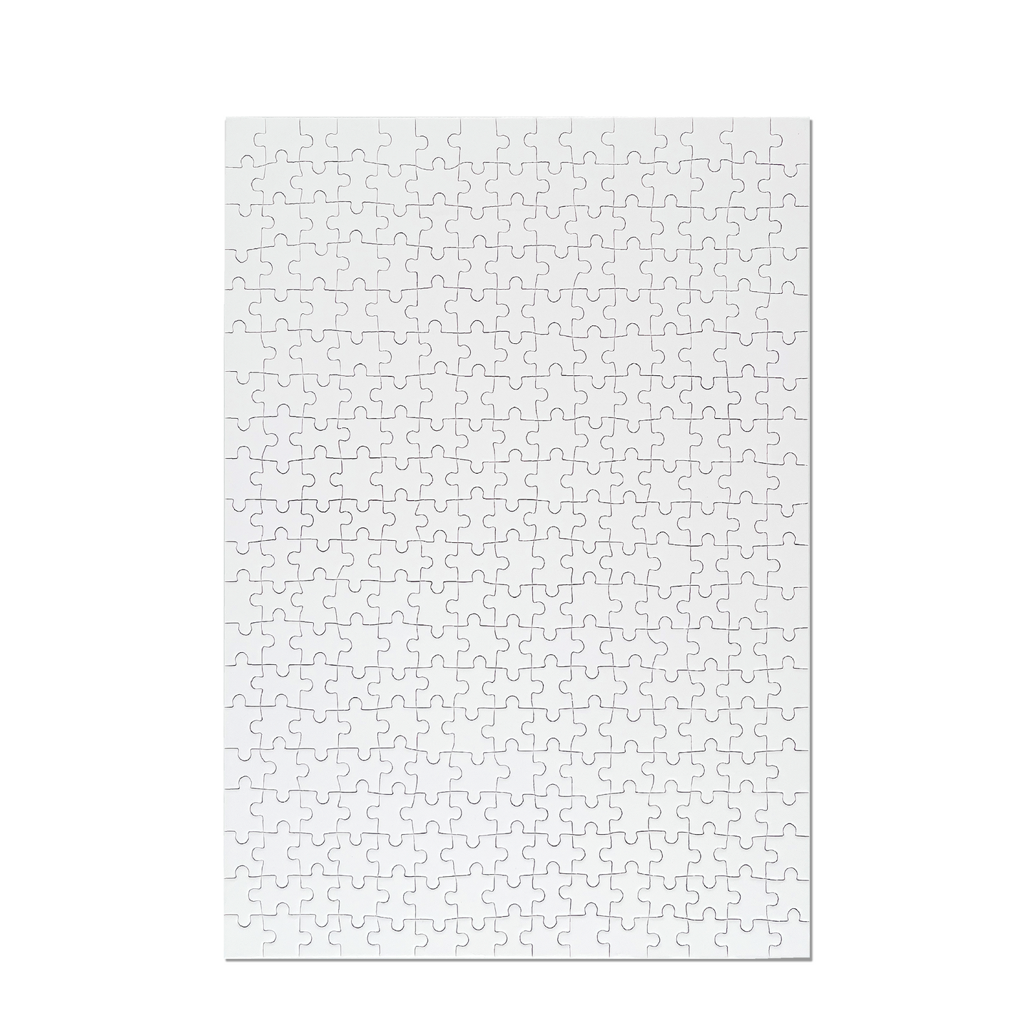 PUZZLE_V5 Jigsaw Puzzle (300-Piece)